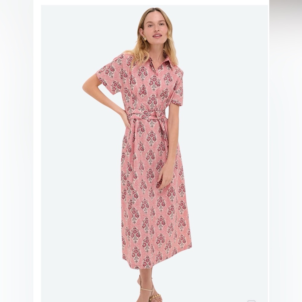 Multicolored Scarlet Sonata Caro Dress floral red cotton Tuckernuck.